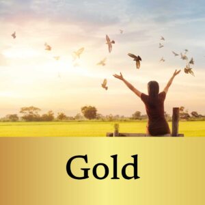 Gold Package Services