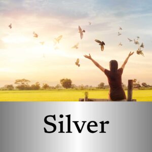 Silver Package Services