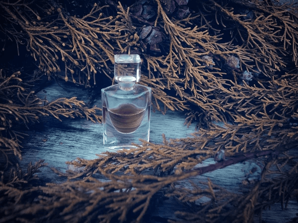 How Perfumes Influence Energy and Mindfulness