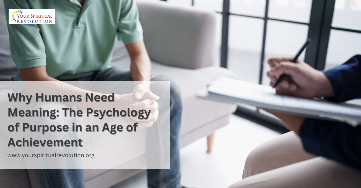 Why Humans Need Meaning The Psychology of Purpose in an Age of Achievement Why Humans Need Meaning - The Psychology of Purpose in an Age of Achievement